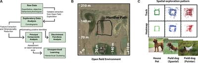 Multivariate Analysis of Open Field Exploration Identifies Latent Spatial and Social Behavioral Axes in Domestic Dogs